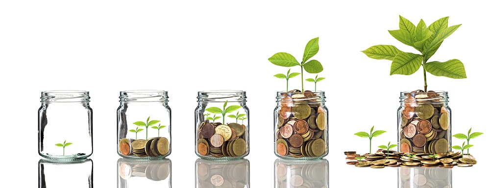The Basics of Investing Build the right mindset to become a wise and successful long term investor